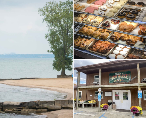 Avon, Ohio: Local Favorites cover photo collage