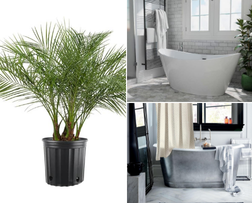 My favorite Items I want for my future home cover photo collage