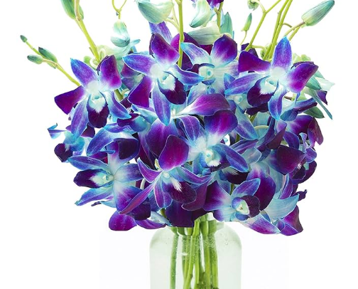 FLOWERS FOR YOU:) cover photo collage