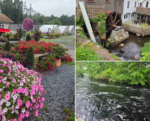 Local Gems: My Favorite Spots In and Around Taunton, MA cover photo collage
