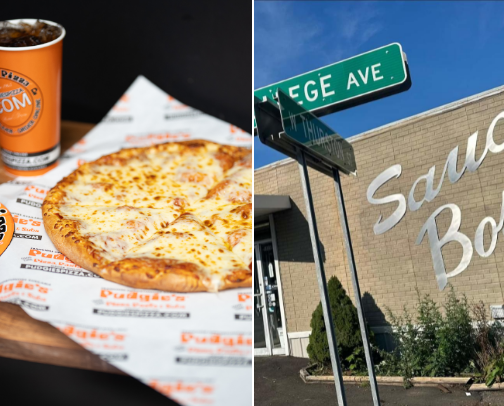My top Elmira recs cover photo collage
