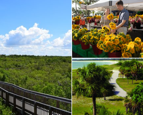 Some of My Favorite Things to do in St. Pete cover photo collage