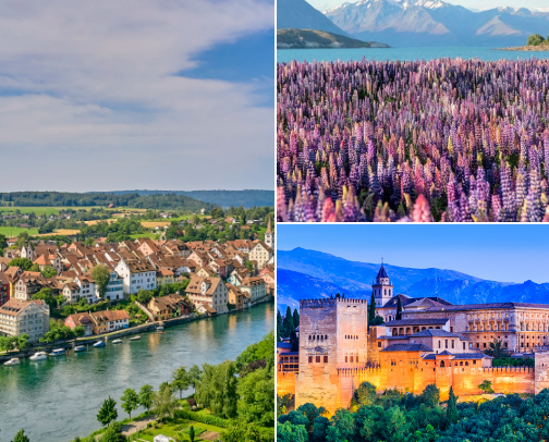 New Year Holiday Ideas cover photo collage