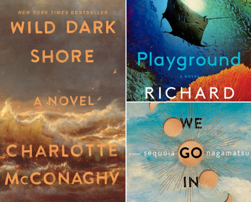 Climate Anxiety Reads cover photo collage