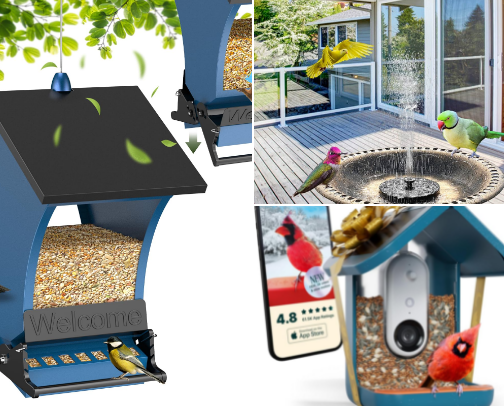 For the bird lovers! cover photo collage