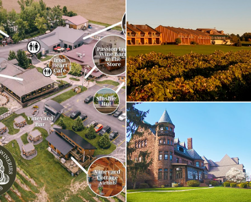 Finger Lakes Vineyards, Breweries & Distilleries cover photo collage