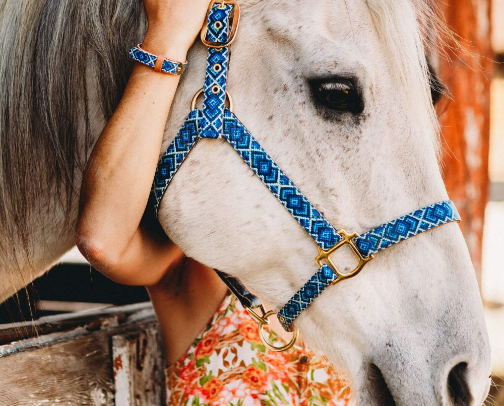 Everything equine masterlist cover photo collage