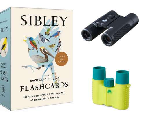 Birding Resources cover photo collage