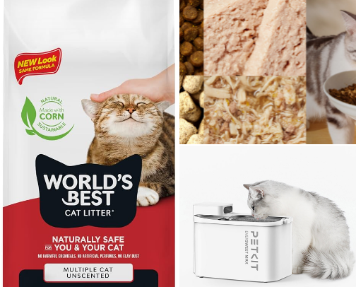 all my cats needs cover photo collage