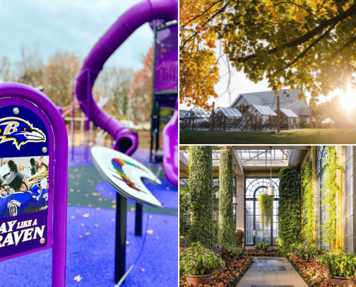 Personal favorites in all the areas of life! cover photo collage