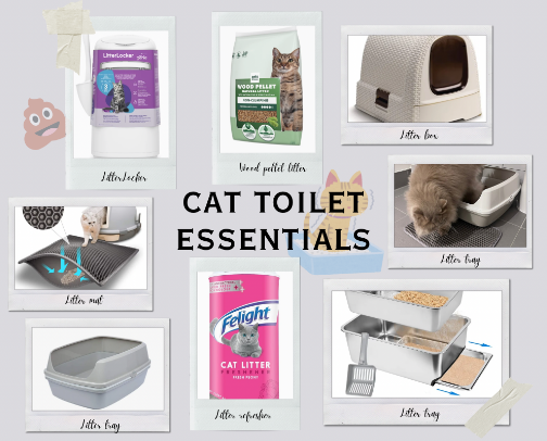 CAT TOILET ESSENTIALS cover photo collage