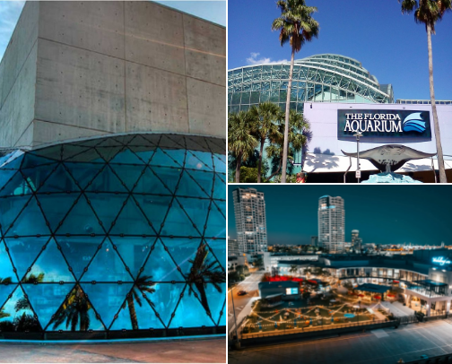 Tampa Bay Hot Spots cover photo collage