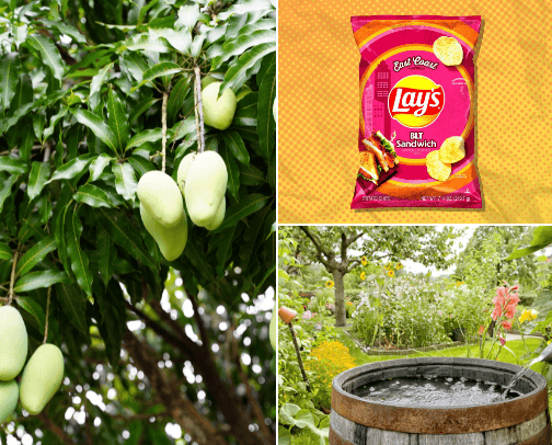 4 unique and easy ways to save the environment! cover photo collage