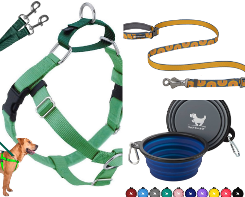 Recommendations for Dog Parents. cover photo collage