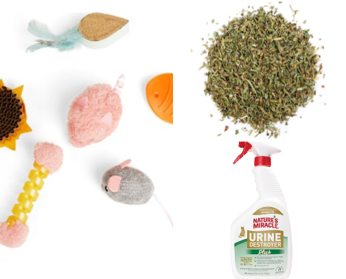 What I Use & Love: My Cat Companion Supply List cover photo collage