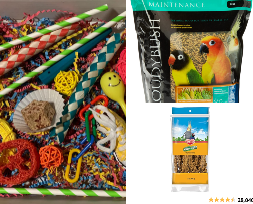 Give your pet conure the best life🦜✨ cover photo collage