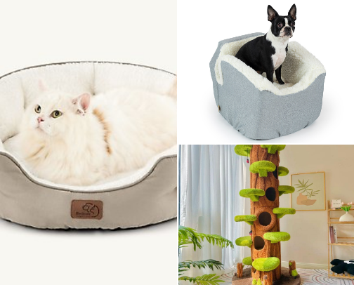 Pet house cover photo collage