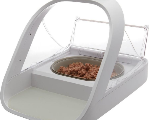 Cat things cover photo collage