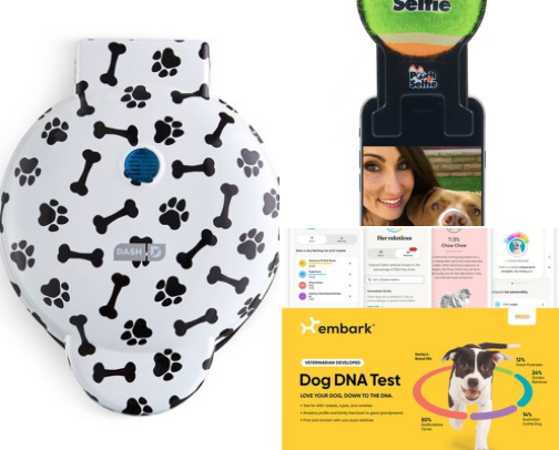 15 Dog-Parent Gifts That Make the Daily Routine Easier cover photo collage