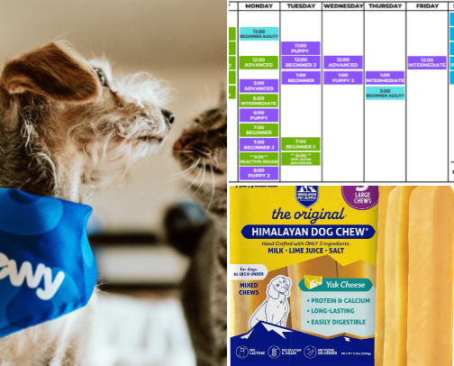 Pet Collective - Everything you might need as a new pet owner! cover photo collage