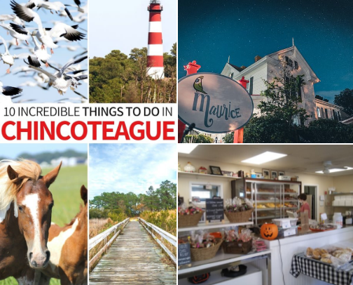 ESVA Life cover photo collage