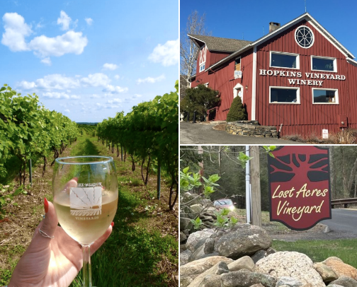 Were the wine is GOOD cover photo collage
