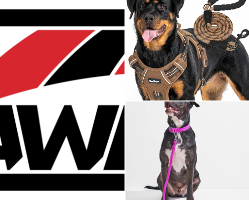 Everyday Pet Essentials You’ll Actually Use cover photo collage