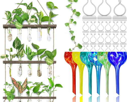 Cozy Indoor Plant Essentials cover photo collage
