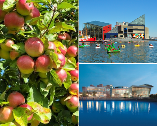 family friendly things to do around the dmv cover photo collage