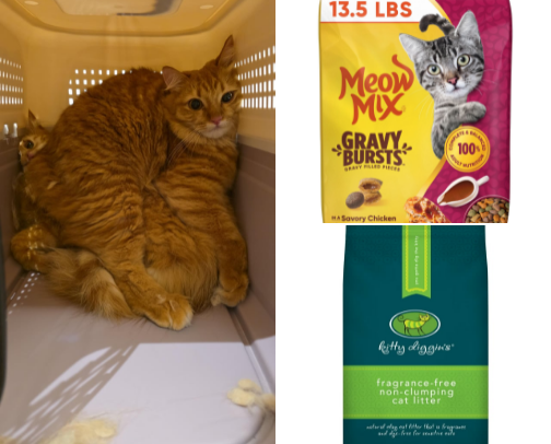 Penny pinching recommendations for your Cats and kittens! cover photo collage