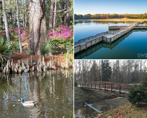 Get to know Summerville South Carolina cover photo collage