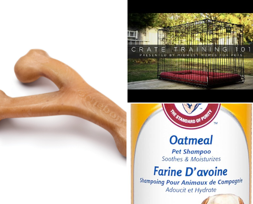 Doggy stuff I got for my fluffy friend - Milkie 🐕 cover photo collage