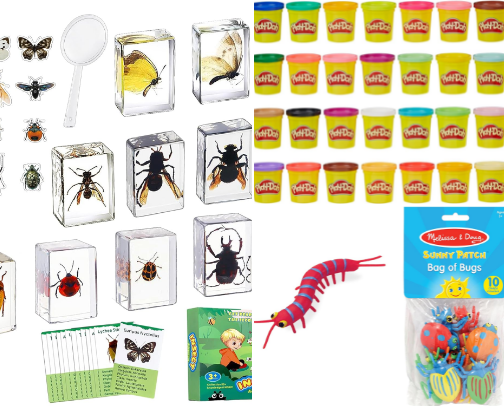 INSECTS 🕷️🪲🐜🐛 cover photo collage