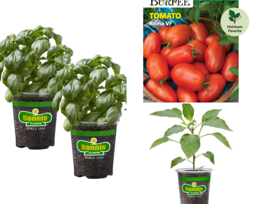I Grew a Pizza Garden Kit and Never Ordered Delivery Again cover photo collage