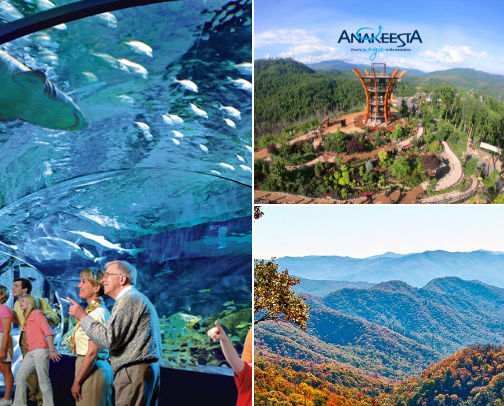 Gatlinburg/Pigeon Forge Travel Guide cover photo collage