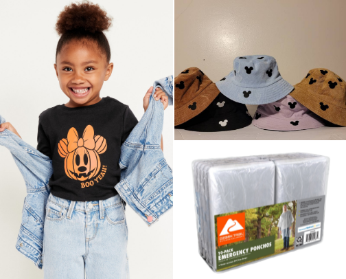 My Disneyland must haves ✨ cover photo collage