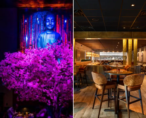 My top Jupiter recs cover photo collage