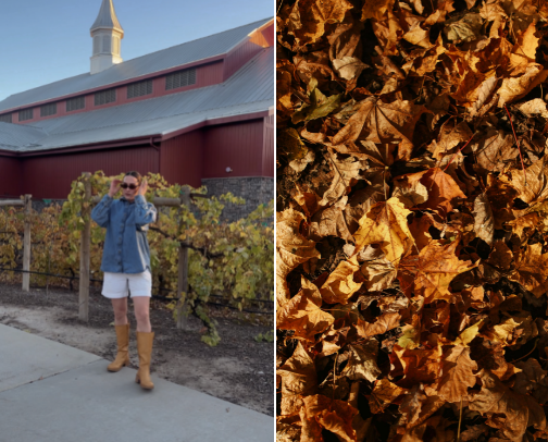 The Fall Edit: Look 04 — Effortless Layers cover photo collage