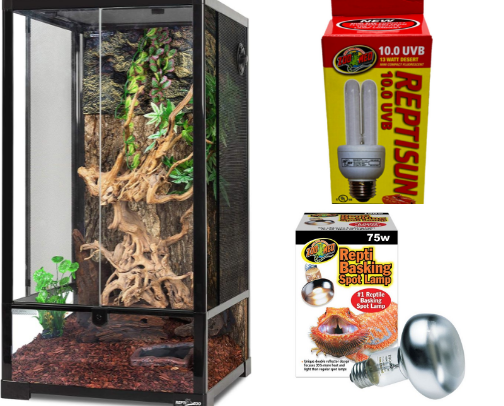 Reptile & Bearded Dragon Starter Kit Essentials: Top Amazon Picks for Beginners cover photo collage
