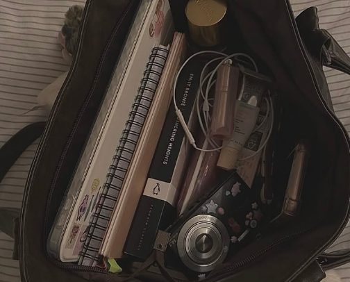 Luxe Bag Vibes For Less cover photo collage