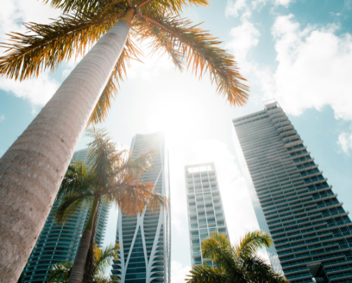 The Best of Miami cover photo collage