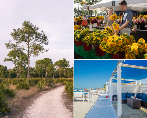 Great Family Spots in St. Petersburg, FL cover photo collage