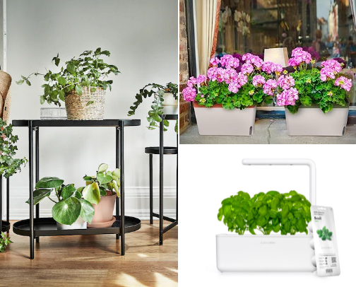 Earth sign decor- AKA PLANTS! cover photo collage