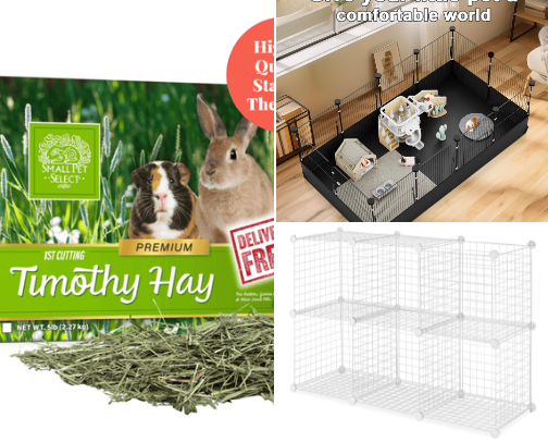 Guinea Piggy Love cover photo collage