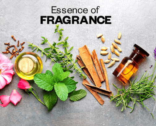 Scent-sational Selection cover photo collage