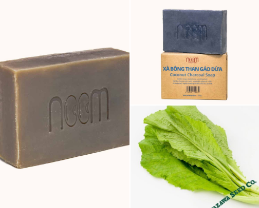 Noom Food cover photo collage