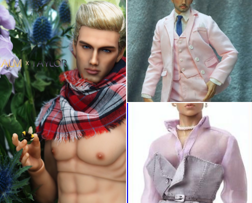 Male Fashion Dolls cover photo collage