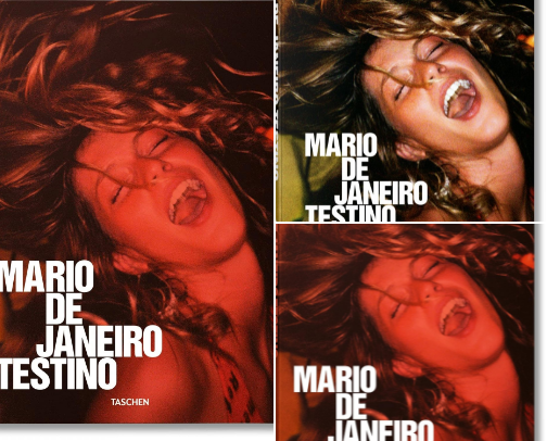 Download - Mario De Janeiro Testino photography for fashion and art lovers cover photo collage