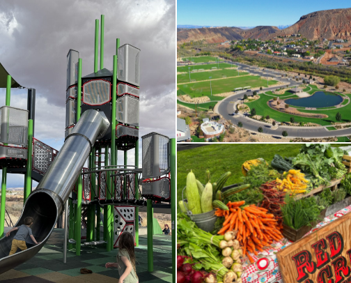 My Favorite Places In Town for Children! cover photo collage