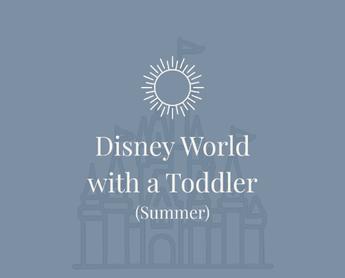 Disney World with a Toddler (Summer) cover photo collage